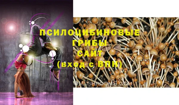 2c-b Арсеньев