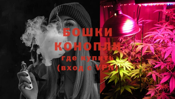 гашик Аркадак