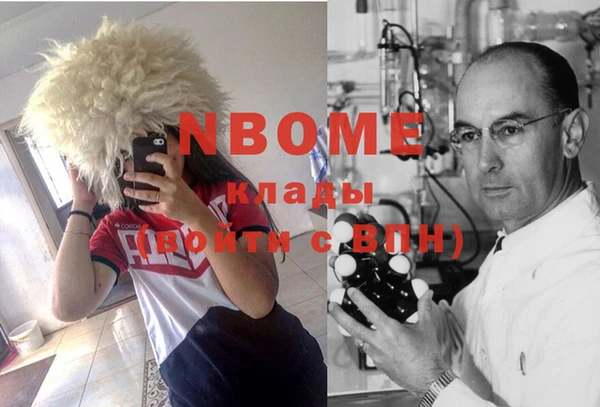 гашик Аркадак