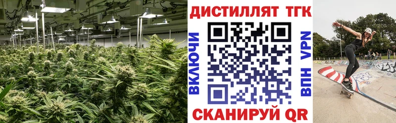 Дистиллят ТГК концентрат omg рабочий сайт Губкинский