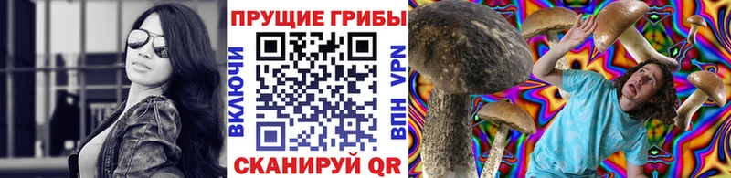 Галлюциногенные грибы Psilocybe Губкинский