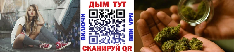 Канабис OG Kush  Губкинский 